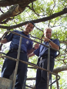 Kaua'i Festival of LIghts image